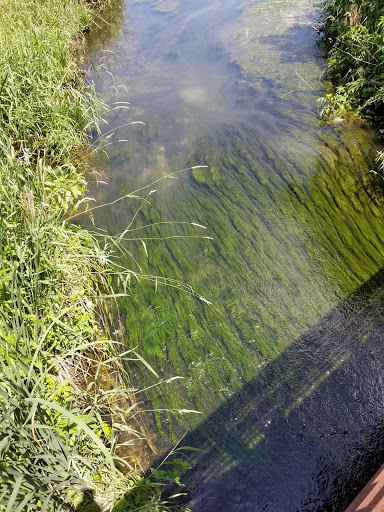 Nature Preserve «Rock Run Preserve - Paul V. Nichols Access», reviews and photos, Essington Rd, Joliet, IL 60435, USA
