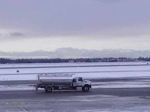 Gluten-Free Restaurant «Capitol Cider», reviews and photos, 818 E Pike St, Seattle, WA 98122, USA