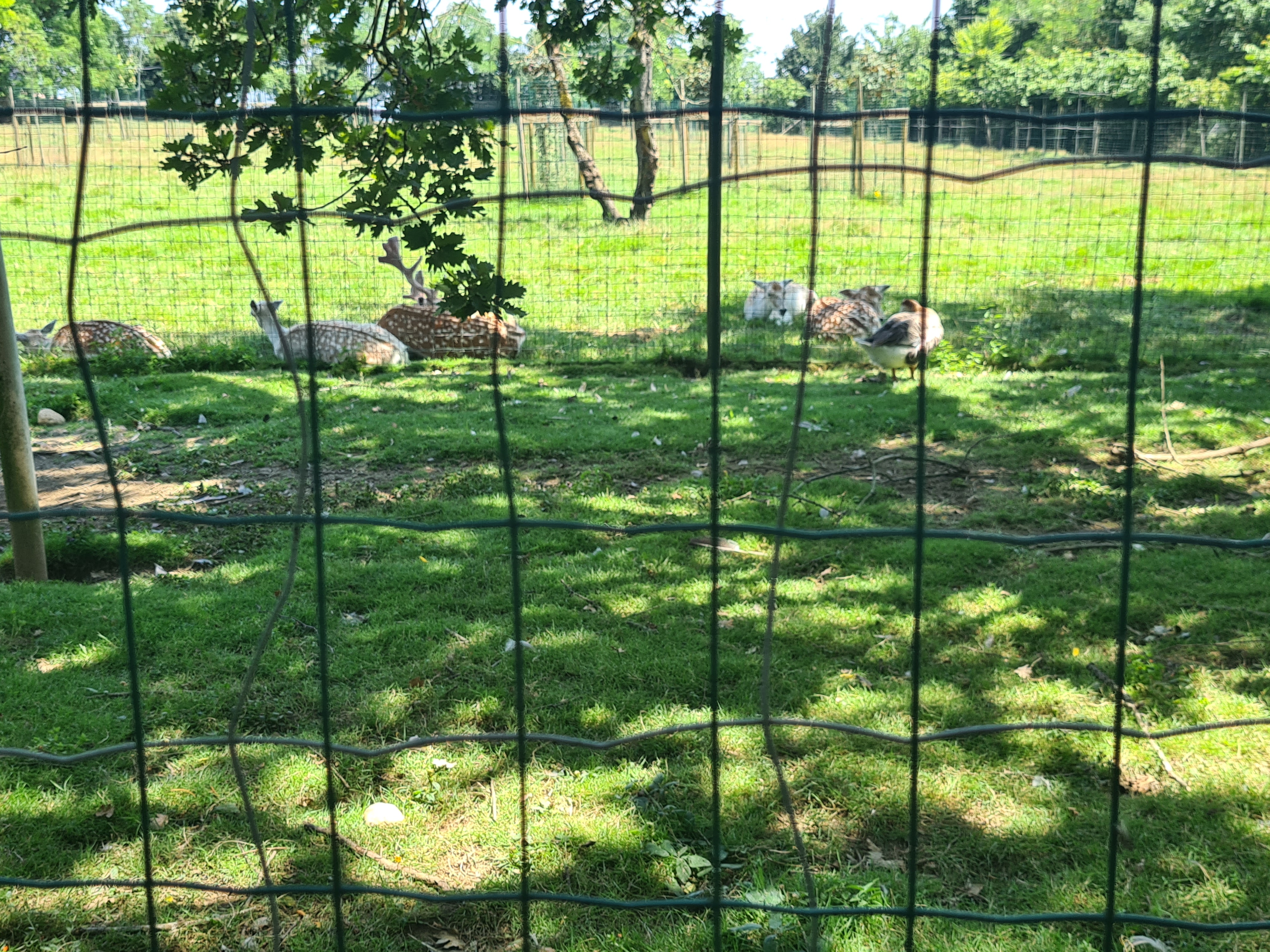 Photo n° 2 de l'avis de Manu.e fait le 19/07/2021 à 19:42