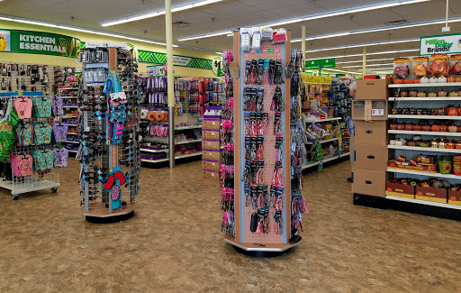 Dollar Store «Dollar Tree», reviews and photos, 376 Main St, Wakefield, MA 01880, USA