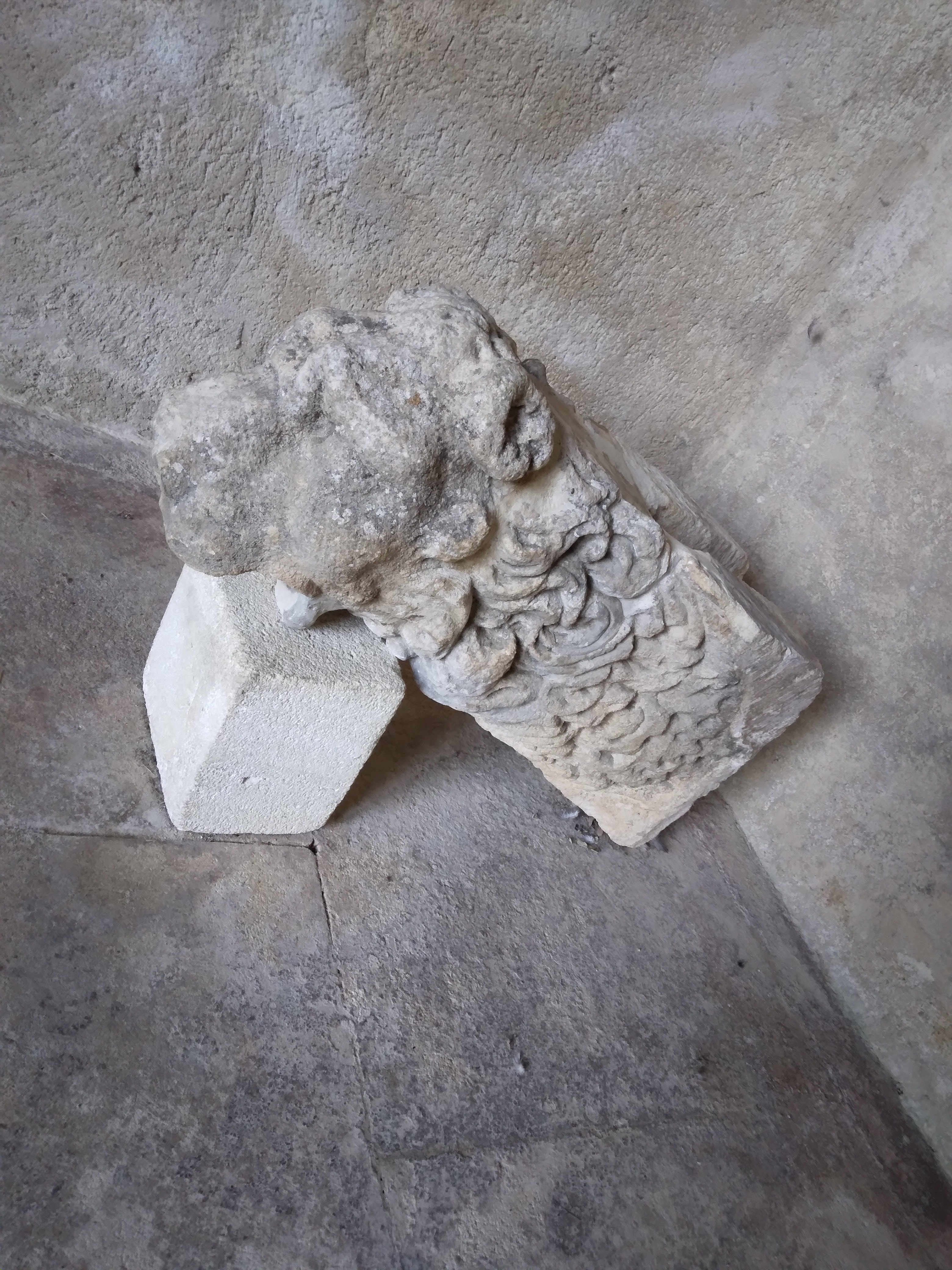 Photo n° 12 de l'avis de Élodie.e fait le 04/10/2022 à 09:51