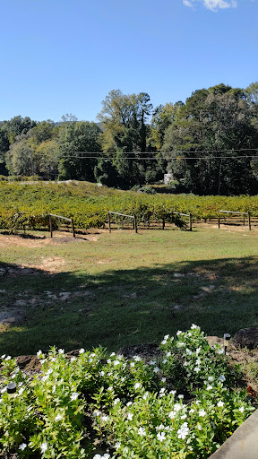 Winery «Currahee Vineyard & Winery», reviews and photos, 3301 W Currahee St, Toccoa, GA 30577, USA