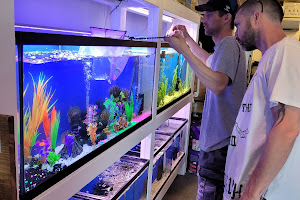 Living Reef Aquariums image
