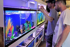 Living Reef Aquariums image