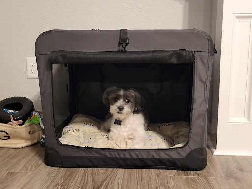 Pet Supply Store «PetSmart», reviews and photos, 6243 College Dr, Suffolk, VA 23435, USA