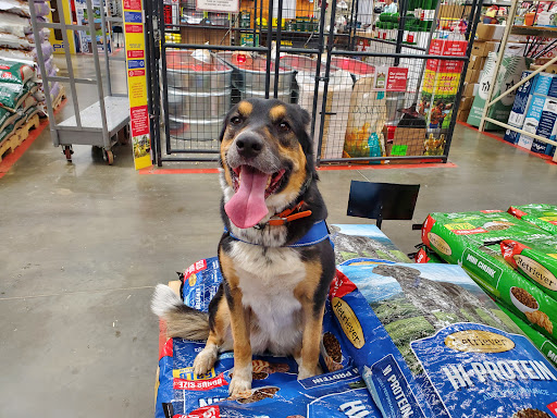 Dog Trainer «Off Leash K9 Training, Charlottesville», reviews and photos, 8782 Seminole Trail, Ruckersville, VA 22968, USA