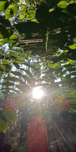 Nature Preserve «Sutherland Nature Sanctuary», reviews and photos, 3998 Diehl Rd, Metamora, MI 48455, USA