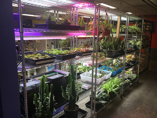 Pet Store «Tye-Dyed Iguana - Reptiles», reviews and photos, 1905 W U.S. 50, Fairview Heights, IL 62208, USA