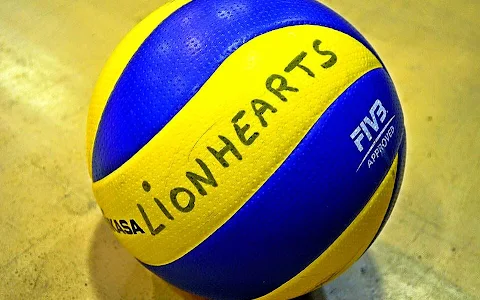 London Lionhearts Volleyball Club image
