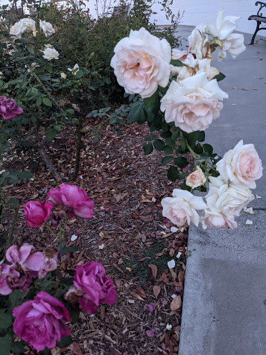 Park «Mike Ward Community Park Woodbridge», reviews and photos, 20 Lake Rd, Irvine, CA 92604, USA