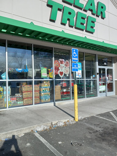 Dollar Store «Dollar Tree», reviews and photos, 383 Allen St, Springfield, MA 01118, USA
