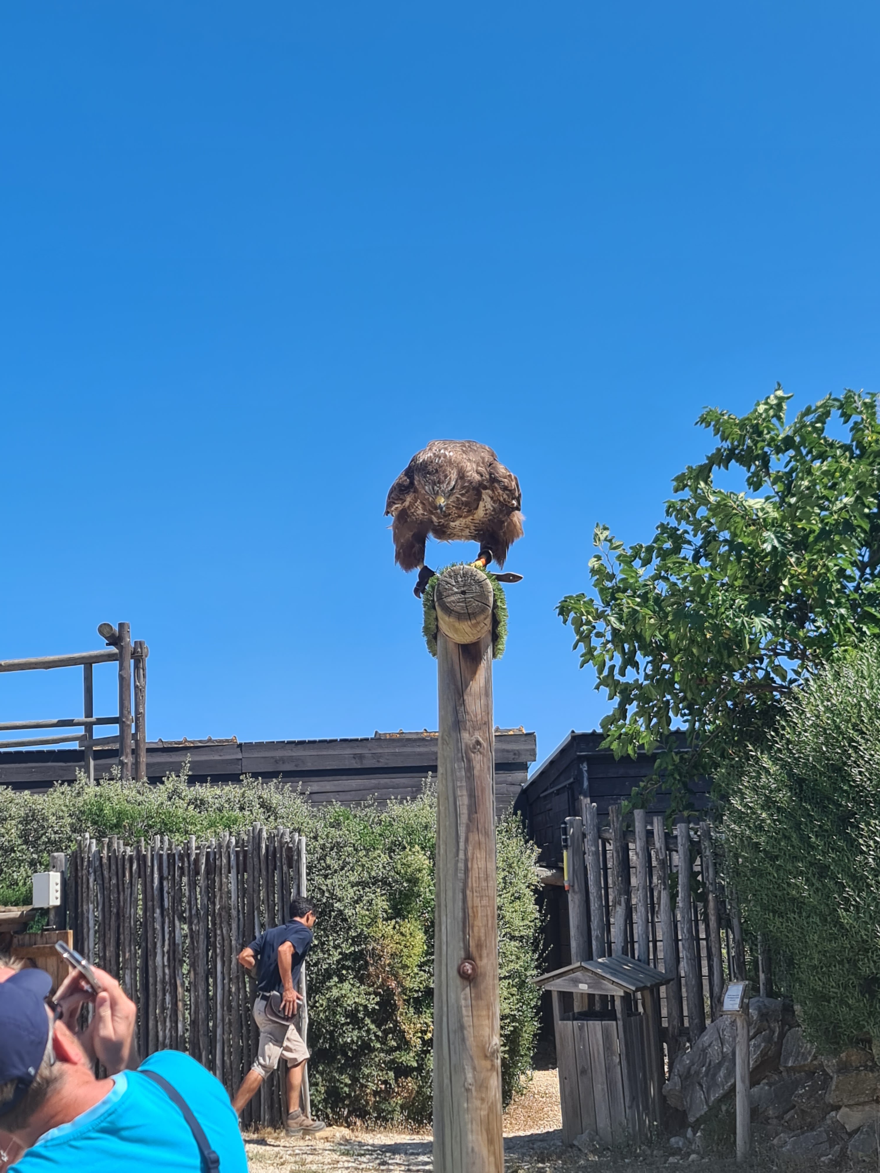 Photo n° 3 de l'avis de Thierry.o fait le 31/07/2023 à 16:57