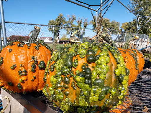 Farm «Pope Farms Produce & Garden Center», reviews and photos, 6501 W 28th St, Greeley, CO 80634, USA