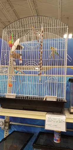 Pet Supply Store «PetSmart», reviews and photos, 3995 Welsh Rd, Willow Grove, PA 19090, USA