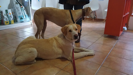 Clínica Veterinaria Carea en Miguelturra