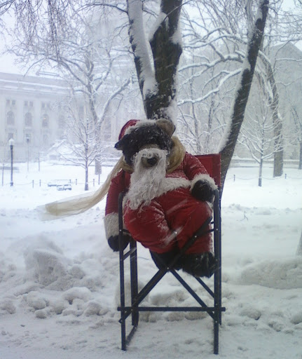 Toy Store «Capitol Kids, Ltd.», reviews and photos, 8 S Carroll St, Madison, WI 53703, USA