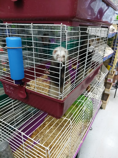 Pet Store «Animal Ark», reviews and photos, 2730 Brookdale Dr, Kingwood, TX 77339, USA