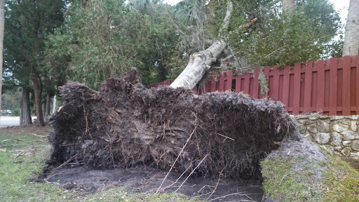 Country Club «Club at Pelican Bay», reviews and photos, 350 Pelican Bay Dr, Daytona Beach, FL 32119, USA