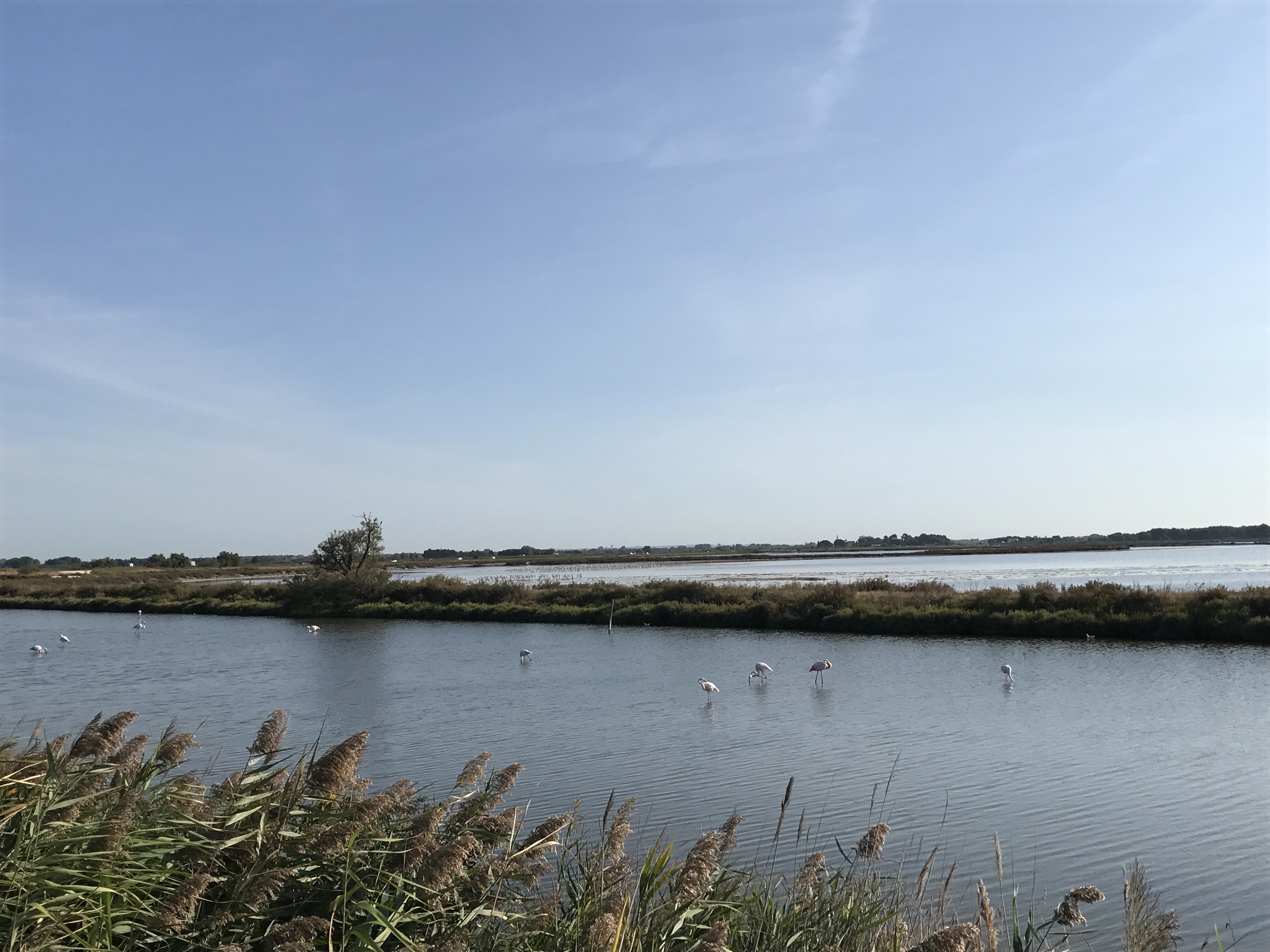 Photo n° 3 de l'avis de Matthieu.a fait le 07/09/2017 à 12:45