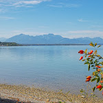Photo n°2 de l'avis de Reinhold.a fait le 08/10/2023 à 08:26 sur le  Restaurant Fischerei Minholz à Bernau am Chiemsee
