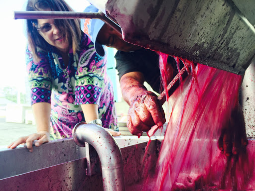 Winery «Stephen & Walker Winery», reviews and photos, 243 Healdsburg Ave, Healdsburg, CA 95448, USA