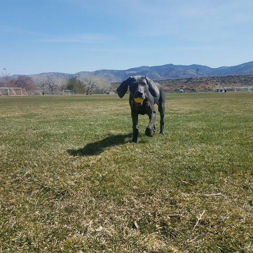 Water Park «Wild Island Family Adventure Park - Waterpark», reviews and photos, 250 Wild Island Ct, Sparks, NV 89434, USA