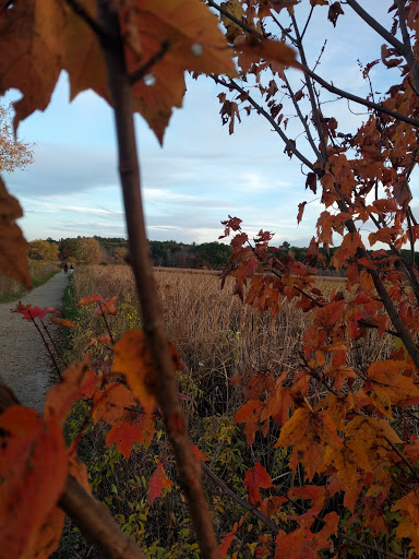 Wildlife Refuge «Great Meadows National Wildlife Refuge», reviews and photos, 73 Weir Hill Rd, Sudbury, MA 01776, USA