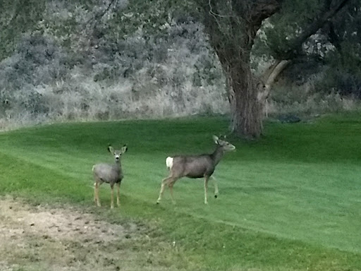 Animal Feed Store «Russell Feed & Supply», reviews and photos, 1312 NW Pkwy St, Azle, TX 76020, USA
