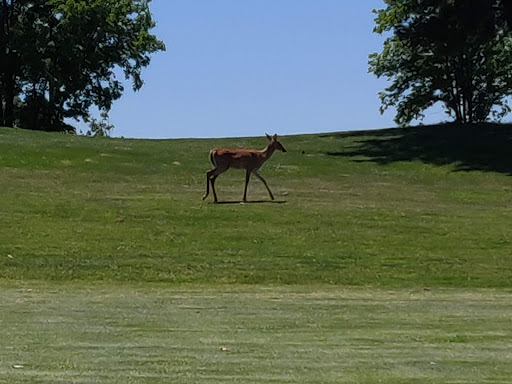 Golf Course «RiverWinds Golf & Tennis Club», reviews and photos, 270 Eagle Point Rd, West Deptford, NJ 08086, USA