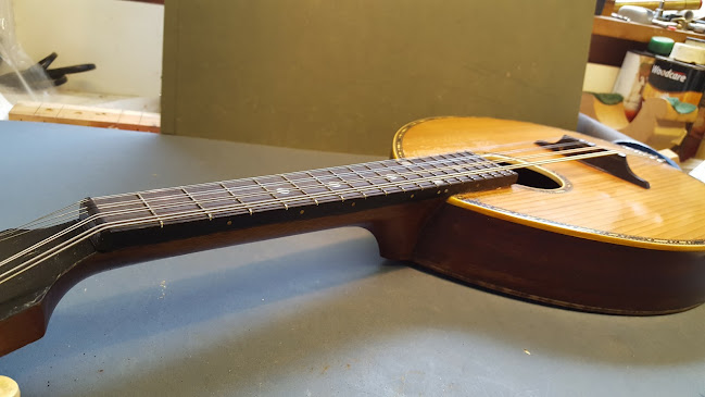 Carswell Stringed Instrument Repair - Glasgow