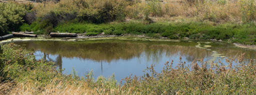 Park «Alviso Marina County Park», reviews and photos, 1195 Hope St, Alviso, CA 95002, USA