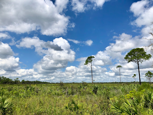Nature Preserve «Duette Preserve», reviews and photos, 2649 Rawls Rd, Parrish, FL 34219, USA
