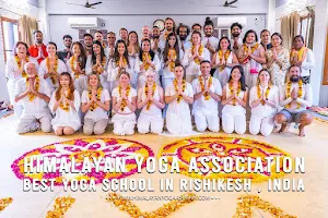 Himalayan Yoga Association | Best 200, 300 Hour Yoga Teacher Training school in Rishikesh, India image