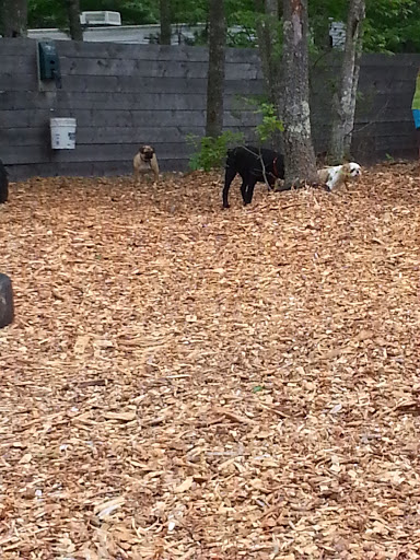 Campground «Bay View Campground», reviews and photos, 260 MacArthur Blvd, Bourne, MA 02532, USA