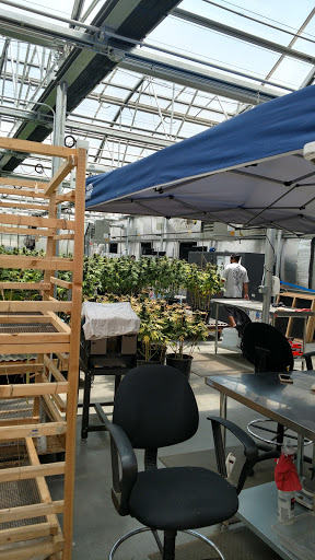 Hotel «My 420 Tours», reviews and photos, 3881 Steele St, Denver, CO 80205, USA