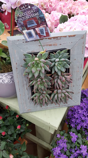 Supermarket «Save Mart Supermarkets», reviews and photos, 3601 Pelandale Ave, Modesto, CA 95356, USA