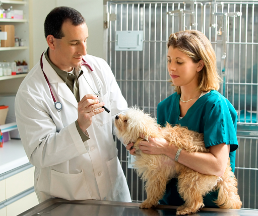 Orion Animal Care Center image