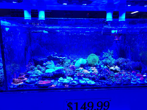 Tropical Fish Store «Neptune Aquatics», reviews and photos, 1238 N 5th St, San Jose, CA 95112, USA