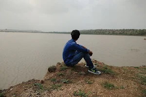 Bari Dam View Point image