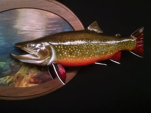 Taxidermist «HighPoint Taxidermy And Outfutters», reviews and photos, 14860 OH-13, Thornville, OH 43076, USA