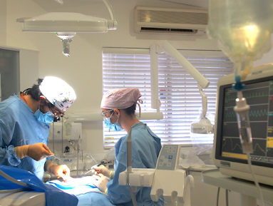All On 4 Clinic Perth - All On 4 Clinic Perth