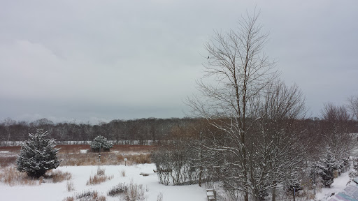 Natural History Museum «South Fork Natural History Museum & Nature Center», reviews and photos, 377 Bridgehampton-Sag Harbor Turnpike, Bridgehampton, NY 11932, USA