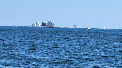 Whale Watching Tour Agency «Cape Ann Whale Watch», reviews and photos, 415 Main St, Gloucester, MA 01930, USA