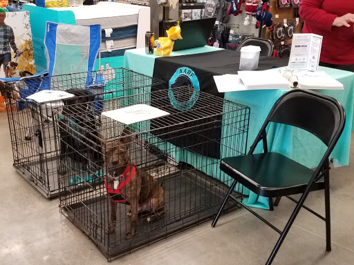 Pet Supply Store «Petco Animal Supplies», reviews and photos, 810 Kingwood Dr, Kingwood, TX 77339, USA