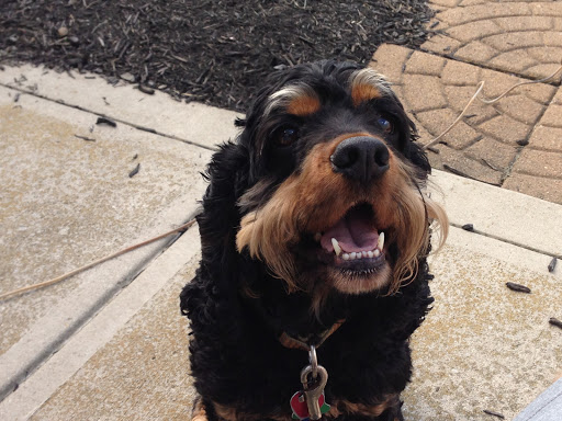 1600 Washington St, Canal Winchester, OH 43110, USA