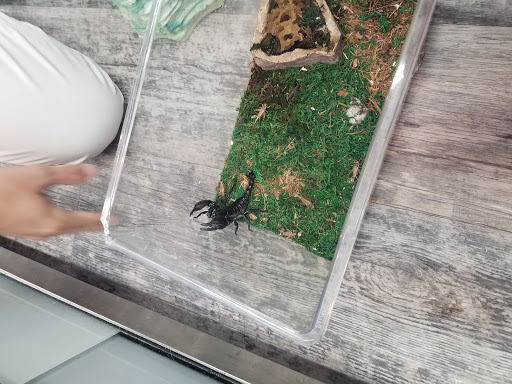 Pet Store «Pet Supermarket, Inc.», reviews and photos, 2446 N University Dr, Coral Springs, FL 33065, USA