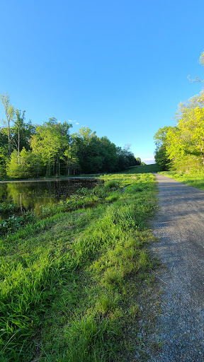Cub Run Trail