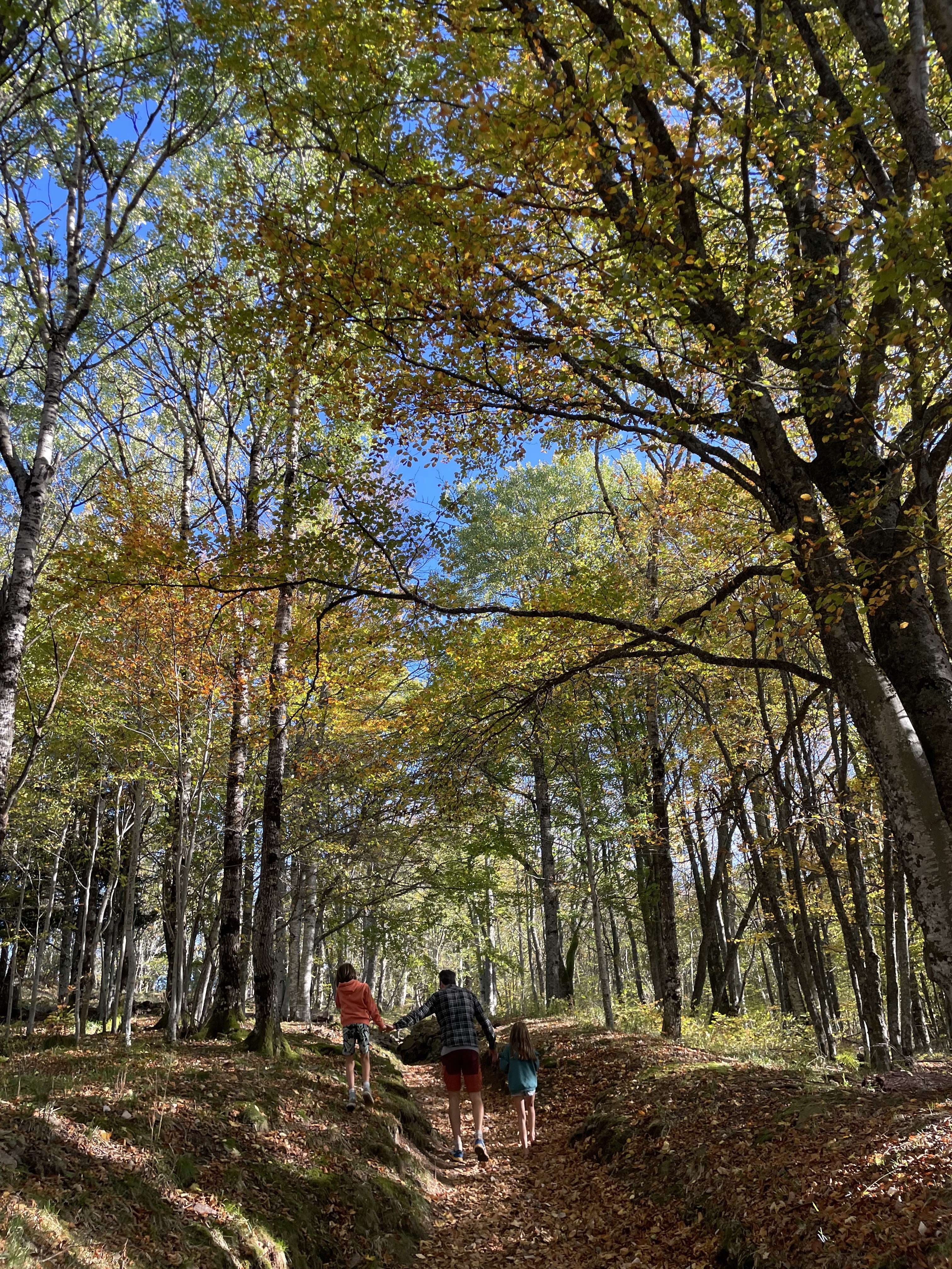 Photo n° 5 de l'avis de NC.o fait le 27/10/2022 à 19:04