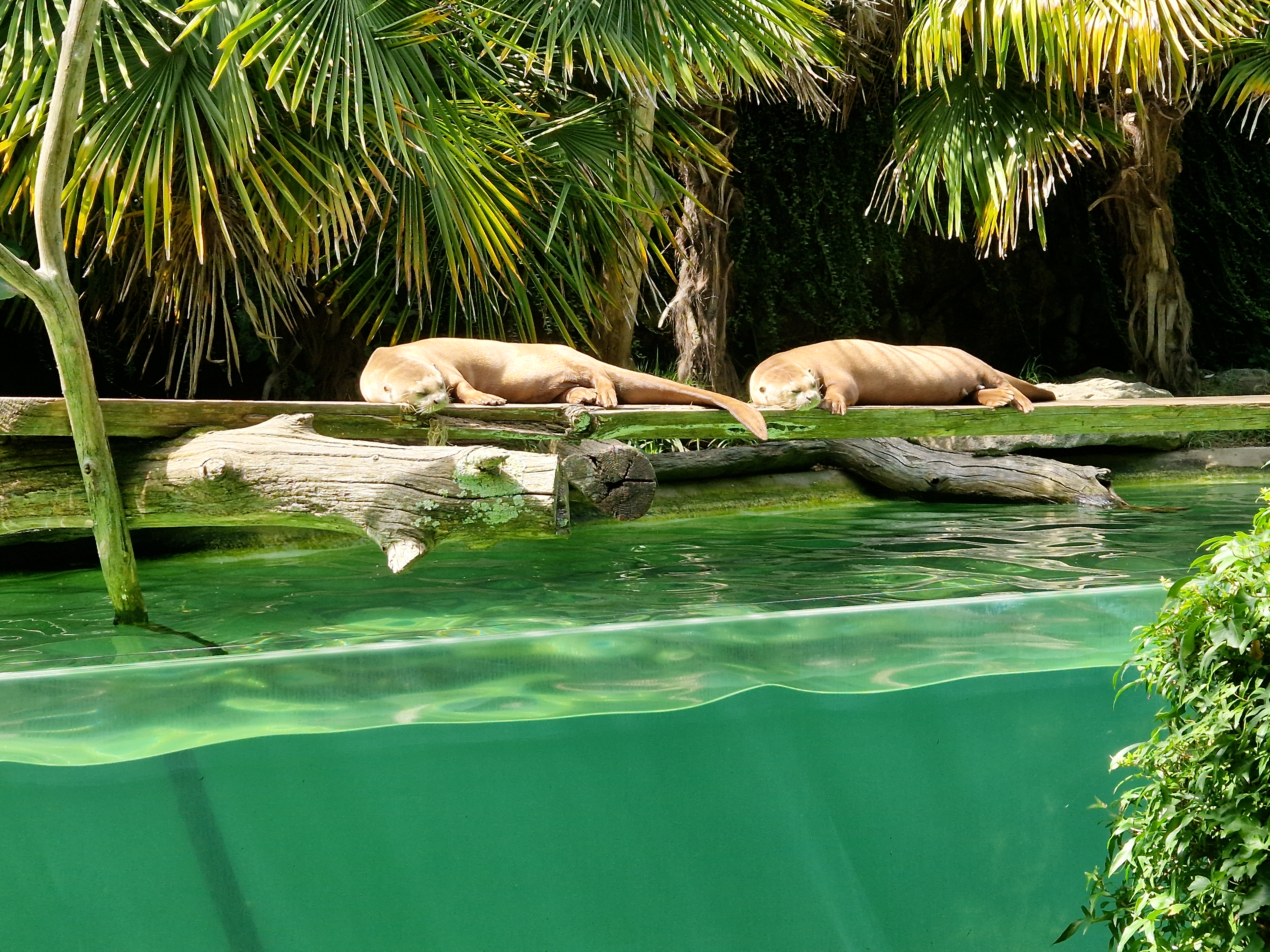 Photo n° 9 de l'avis de Aline.u fait le 27/08/2023 à 11:28