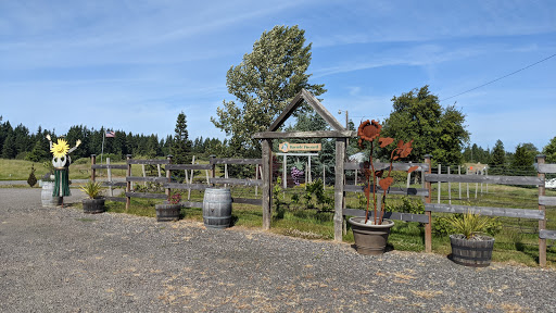 Winery «Olympic Cellars Winery», reviews and photos, 255410 US-101, Port Angeles, WA 98362, USA